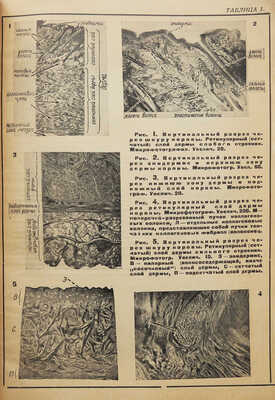 Браун А.А. Животные богатства СССР. Пушные, мехсырьевые и кожсырьевые богатства СССР... Л., 1933.